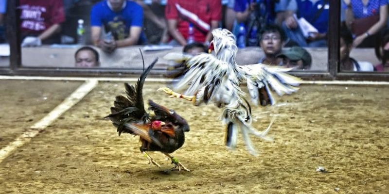 ae388 ﻿đăng nhập lô đề uy tín