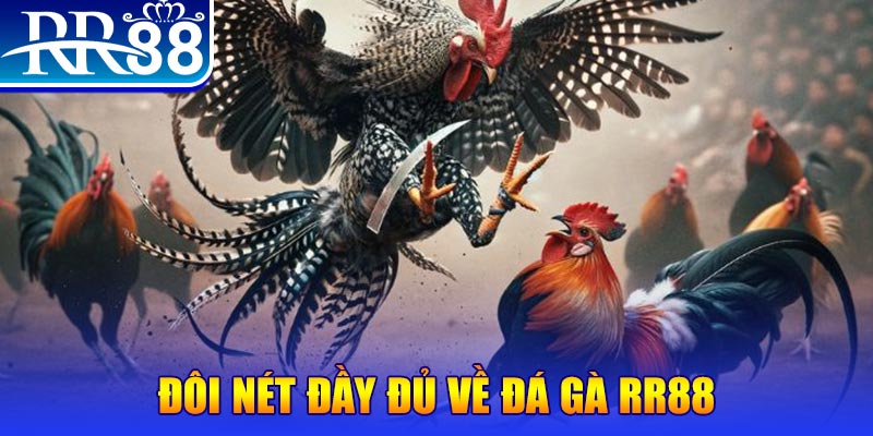ae388 gà chọi hoà phong