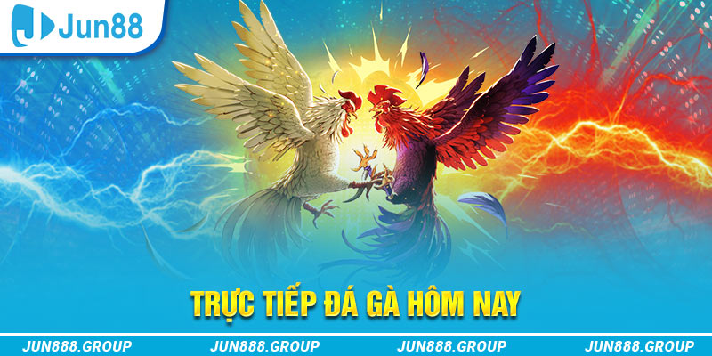 ae388 trực tiếp đá gà thomo