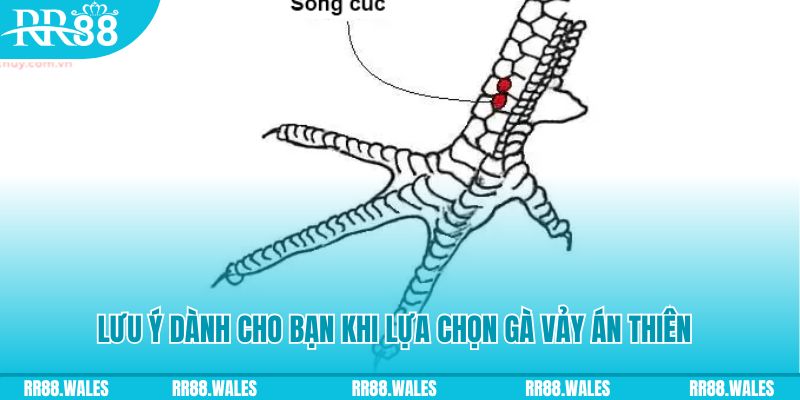 ae388 xổ số khánh hòa