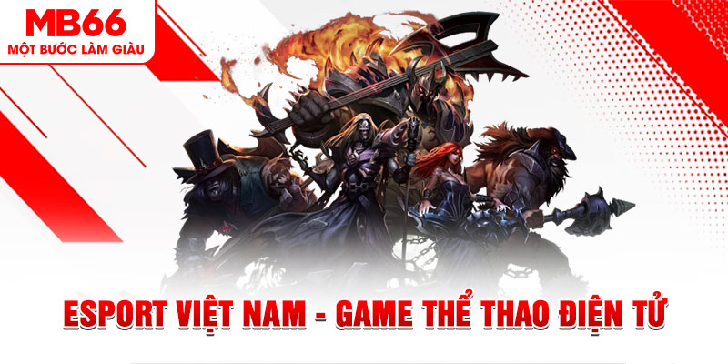 ae388 PT Điện Tử