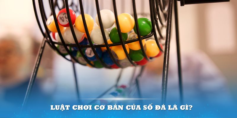 ae388 Đĩa màu ace