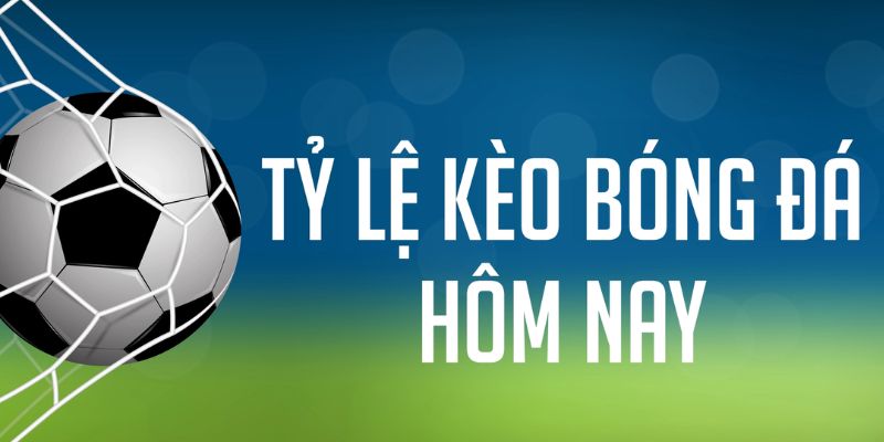 ae388 ÁT CHỦ MÁY HOA QUẢ THẦN TÀI