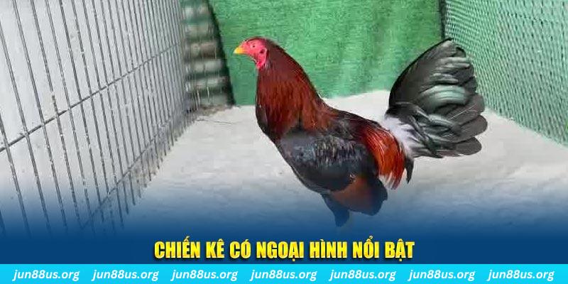 ae388 nhạc slot là gì
